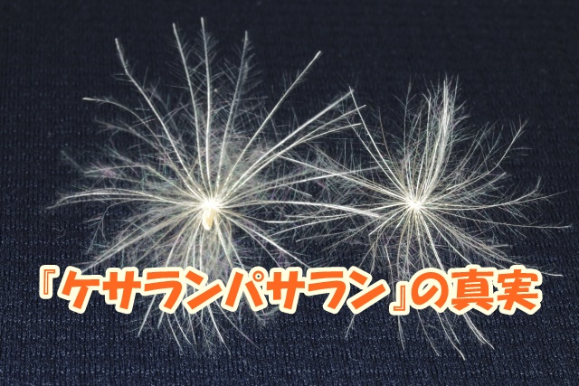 『ケサランパサラン』の真実